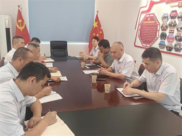 公司領(lǐng)導(dǎo)調(diào)研指導(dǎo)鼎信公司、藍(lán)盾...